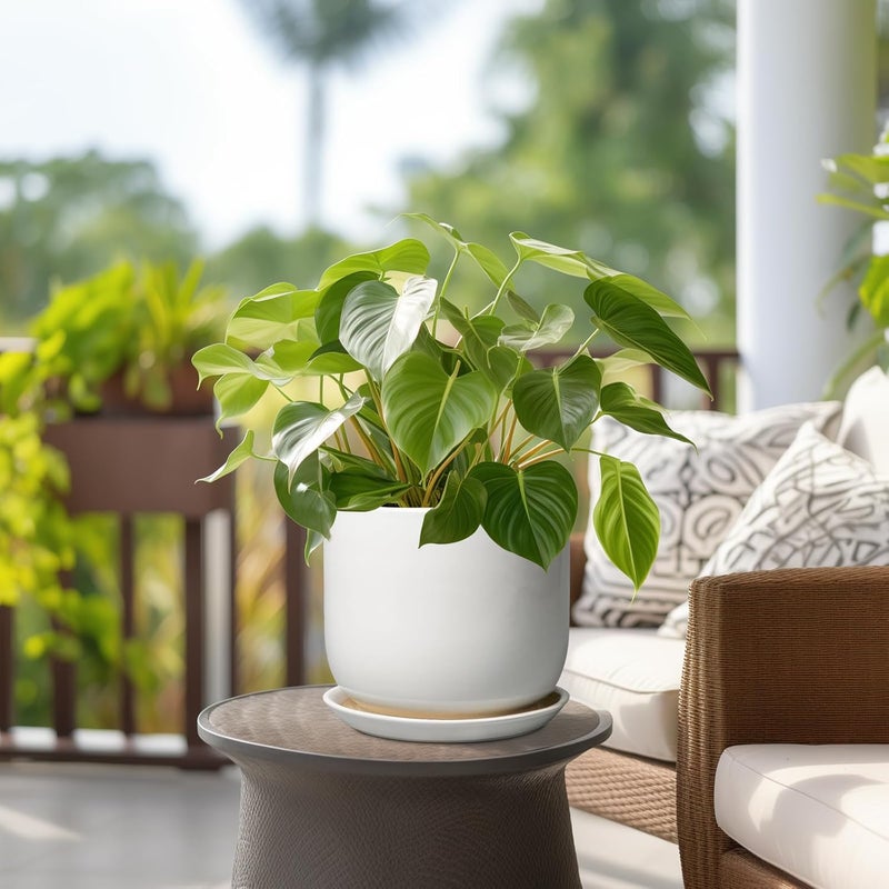 SUNPOTFOR Store Ceramic Plant Pot - Modern 8 Inch Round Planter for Indoor Outdoor Plants with Drainage Hole and Saucer, Home House Room Office Decor, White - Image 4